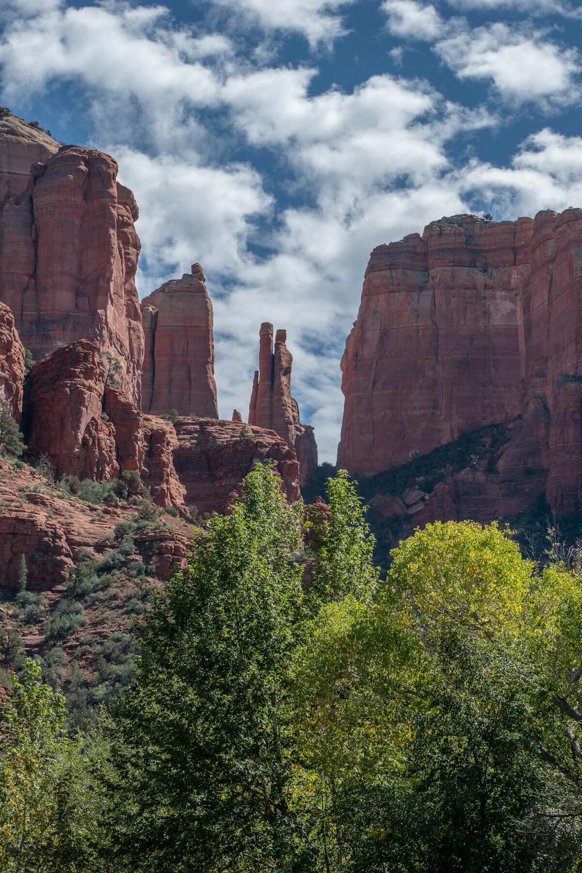 Cathedral Rock Vortex: A First-Timer's Guide