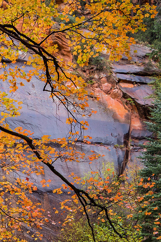 Sedona Babymoon & Couples' Getaway Guide