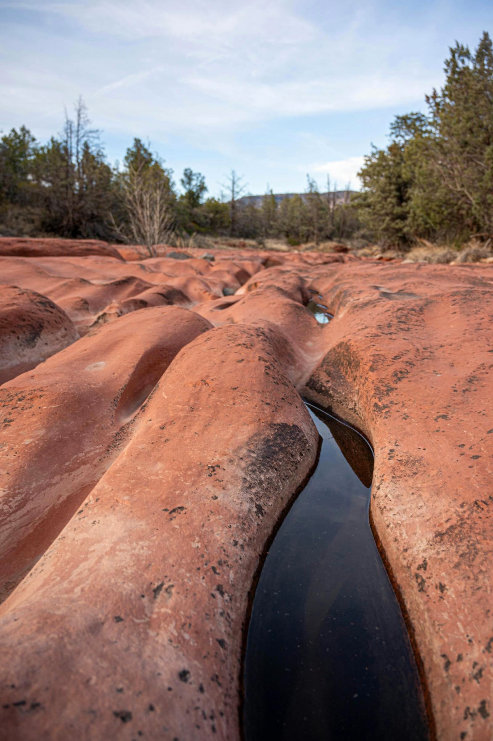 Sedona in July: Weather, Crowds & What to Do